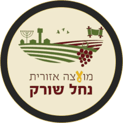 לוגו מועצה אזורית נחל שורק